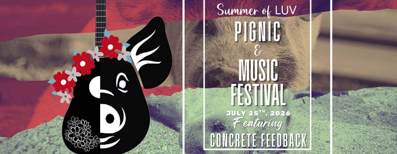Summer of LUV PigNic and Music Fest