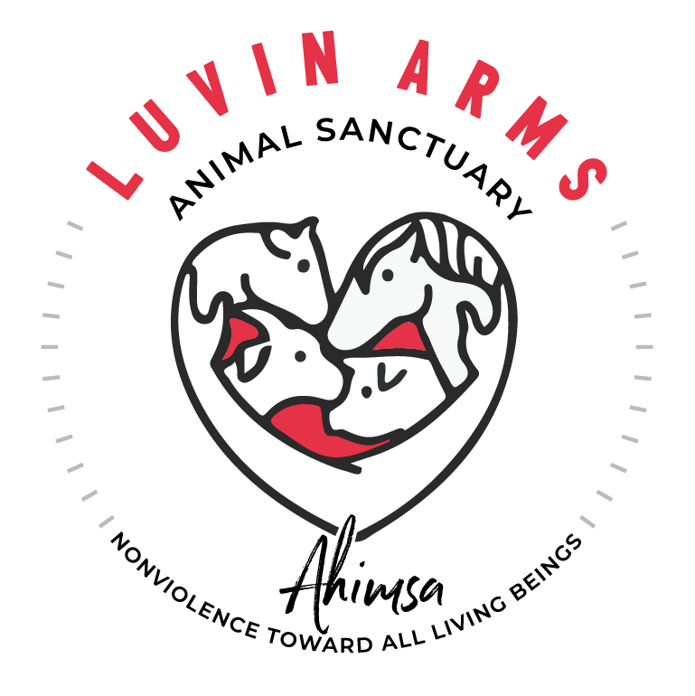 Summer of LUV PigNic and Music Fest - logo